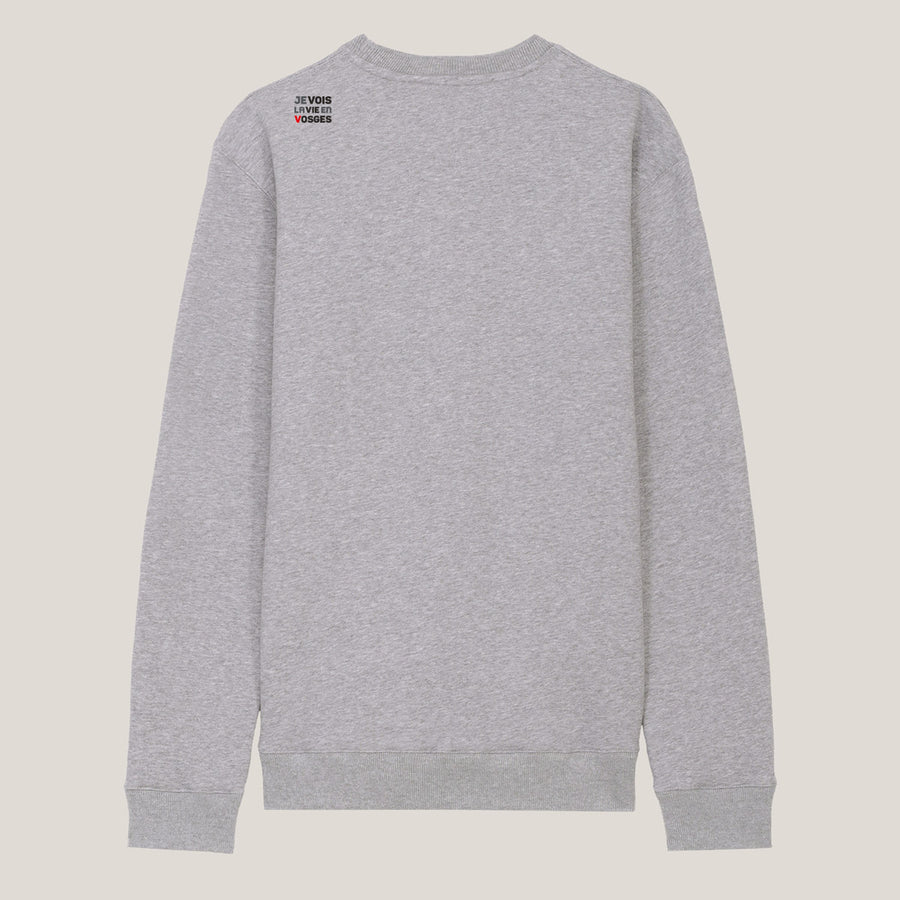 dos du sweat-shirt gris chiné J3V